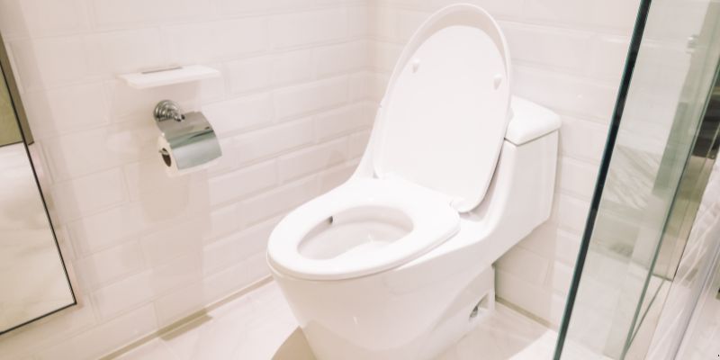 Como Desentupir Vaso Sanitário Que Caiu Objeto Dentro em Campina Grande: 4 Técnicas